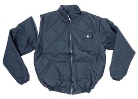 art. 1008 blu